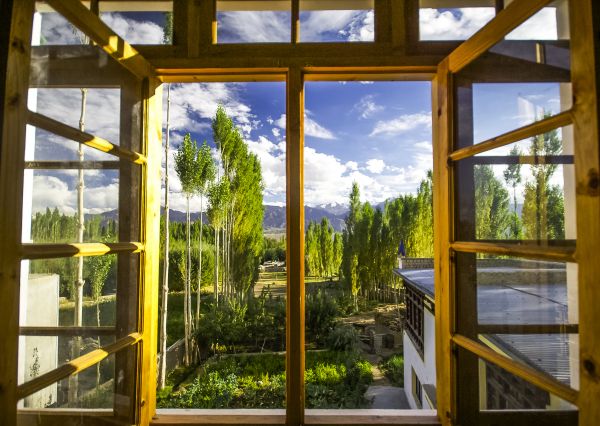 Wood Window Replacement in Antioch